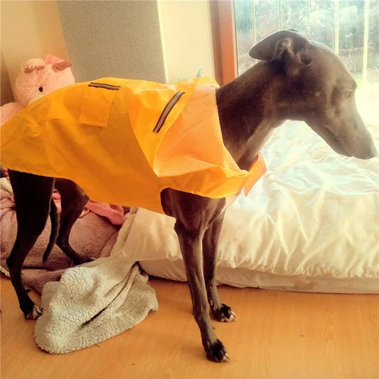 Waterproof jacket with hood for dogs of all sizes. Practical and safe thanks to the reflective strip.